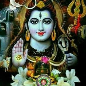 Meet your Posher, Joginder